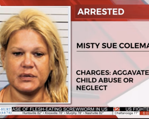 Tennessee woman mugshot